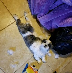 Meet your Posher, Liseth